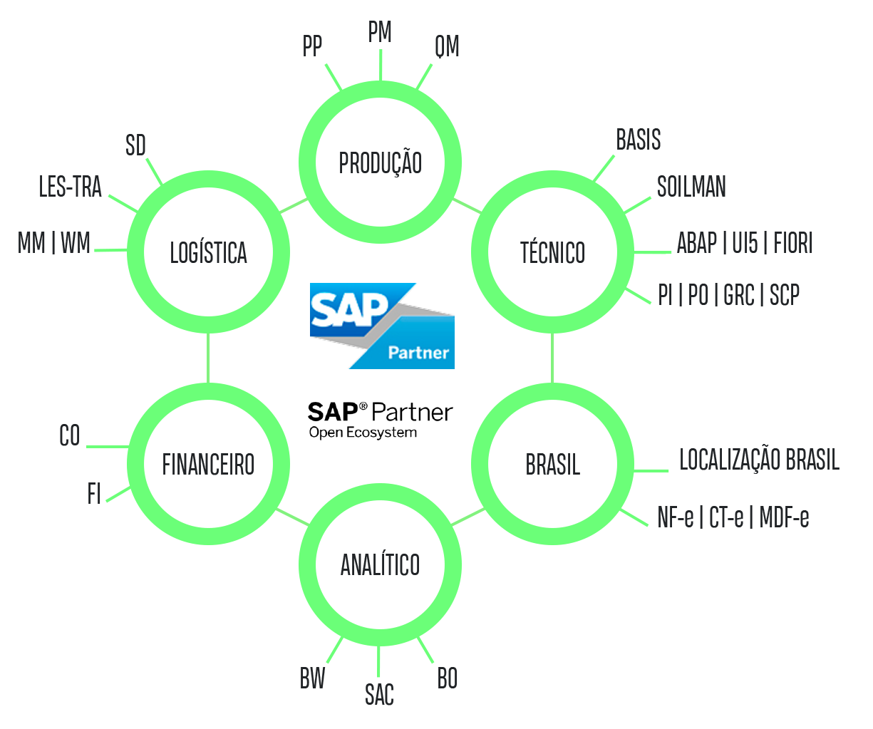 especialidades Consultoria SAP